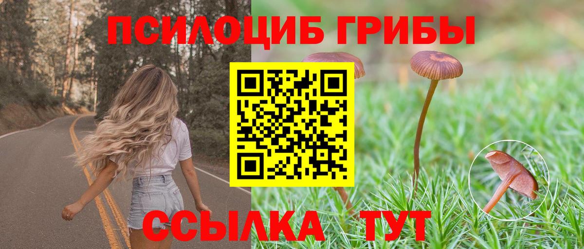 Галлюциногенные грибы мухоморы  Галлюциногенные грибы MAGIC MUSHROOMS  Вход с VPN  Шали 
