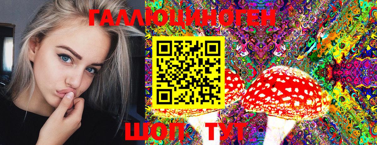Псилоцибиновые грибы прущие грибы Шали