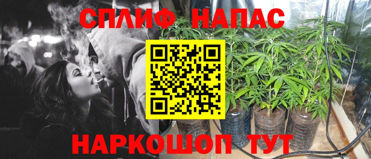 Каннабис семена Шали